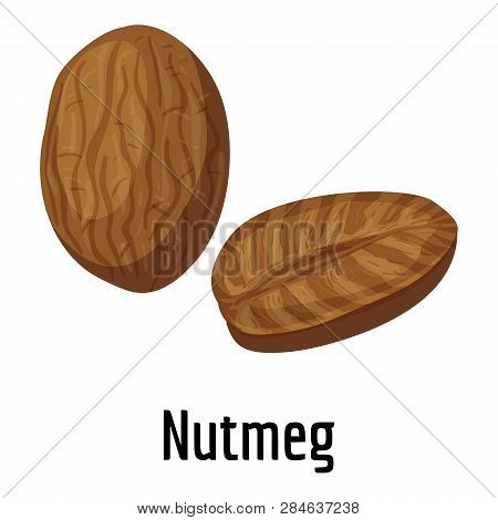 Nutmeg Icon. Cartoon Of Nutmeg Vector Icon For Web Design Isolated On White Background