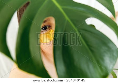 Eye Skin Care And Treatment. Portrait Of Beautiful Young Woman With Golden Eye Patch Under Green Pal