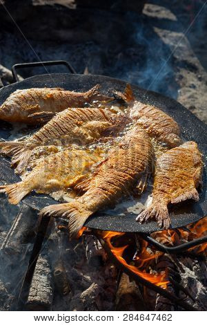 Fried Fish On An Open Fire In A Frying Pan. Cooking Fish For Picnik Lunch.