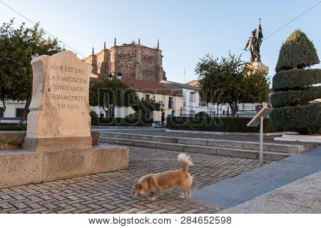 Medellin, Extremadura, Spain - February 13, 2019: A Dog Passes Next To A Monolith That Marks The Pla