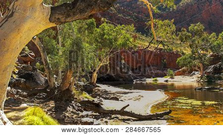 A Ghost Gum At The Waterhole At Ormiston Gorge In The West Macdonnell Ranges