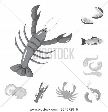 Isolated Object Of Seafood And Healthy Symbol. Set Of Seafood And Ocean Stock Vector Illustration.
