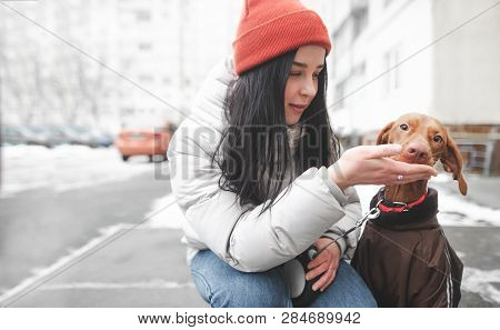 Happy Girl In A Hat And Winter Clothes Sitting On The Street And Feeding Her Dog From The Street Bac
