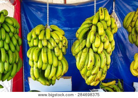 Turkish Anamur Bananas. Banana Cob Ready For Sale