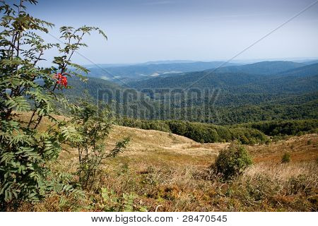 Bieszczady 山の南の東のポーランド
