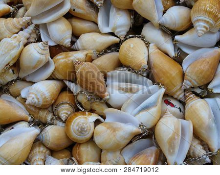 Key Chains Made Of Clam Shells. Mussel