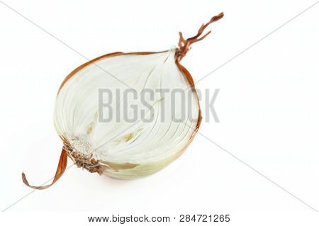 Bulb Onion, Allium Cepa, Cut In Half With Visible Scale Leaves, Basal Plate, Fibrous Roots And Curly