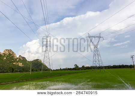 High Voltage Transmission Towers - Located In The Middle Of Green Rice Fields
