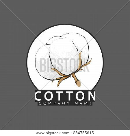 Vector Illustration Of Delicate White Cotton Flower Background