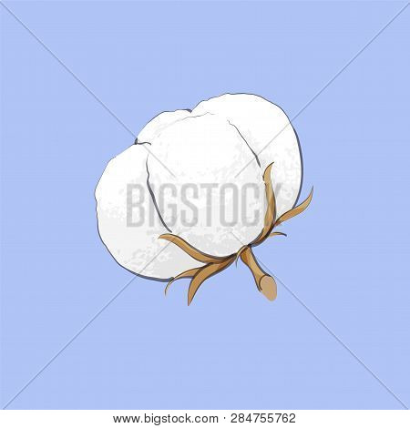 Delicate White Cotton Flower