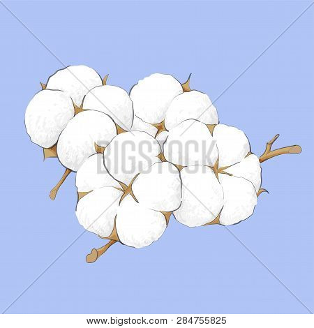 Delicate White Cotton Flower