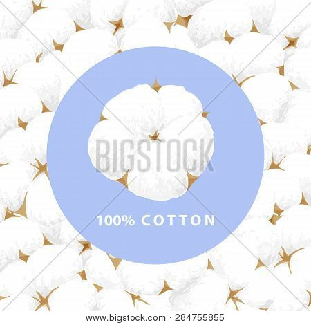 Delicate White Cotton Flower
