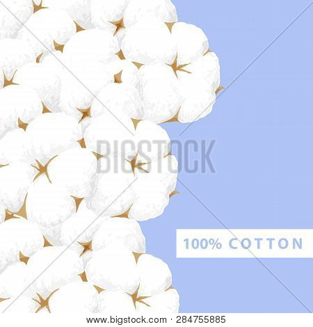 Delicate White Cotton Flower