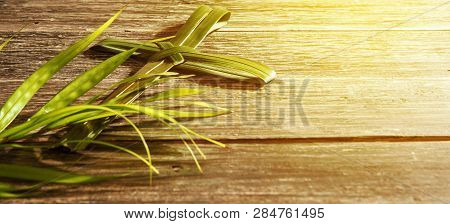 Closeup View Of Cross Shape Of Palm Leaf And Palm Branches With Ray In Wooden Background. Palm Sunda