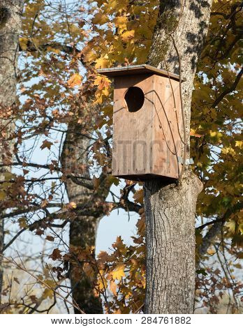 Wooden Nesting Box.nesting Boxes For Owls Can Be Lifted All Year Long, But Now It Is Likely That Owl