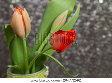 Bouquet Of Delicate Spring Red Tulips On A Blurred Metal Background