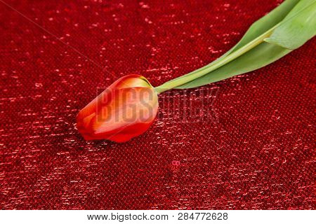 Red Fresh Spring Tulip On A Red Background From A Sequin (shiny Fabric)