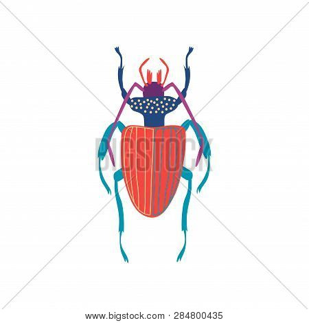Cute Colorful Carabus Beetle Insect, Top View Vector Illustration