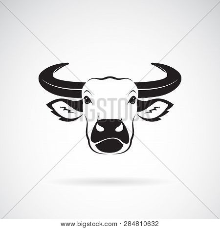 Vector Of Buffalo Head Design On White Background. Wild Animals. Buffalo Head Icon Or Logo. Easy Edi