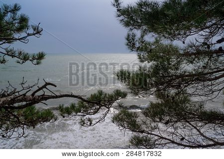 View Of The Stormy Sea From The Mountain Through The Pine Branches