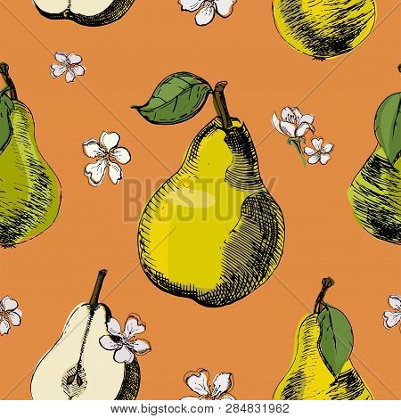 Hand Drawn Sketch Seamless Pattern Of Pears.vintage Ink Vector Of Different Pears And Flowers Of Pea