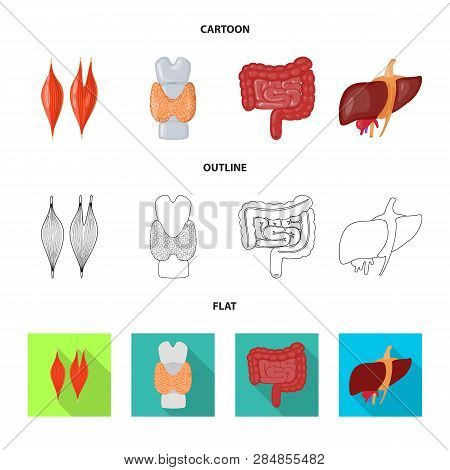 Vector Design Of Biology And Scientific Icon. Set Of Biology And Laboratory Vector Icon For Stock.
