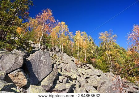 Autumn On The Rocky Mountains