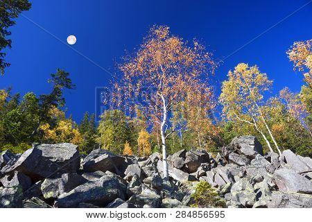 Autumn On The Rocky Mountains