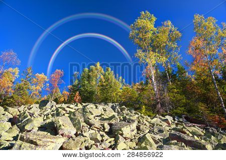 Morning Shooting Of The Rocky Slope Of Mount Syvula Gambler With Autumn Birches And Coniferous Fores