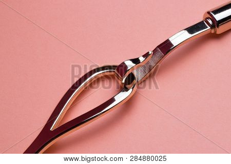 Hook-shaped Golden Belt As Baroque Element Of Stylish Fashion On Coral Background