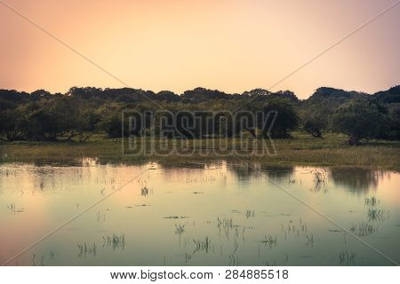 Sunrise Tranquil River Scenery Landscape With Reflection On Calm Water In Yala National Park Reserve