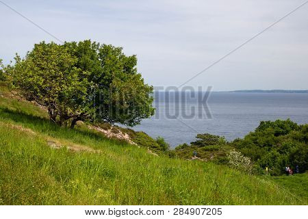 View Of The Kullaberg Cliff Near Town Molle In Sweden