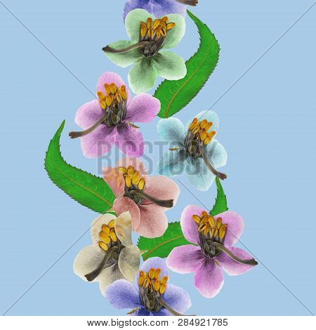 Pyrola. Texture Of Flowers. Seamless Pattern For Continuous Replicate. Floral Background, Photo Coll