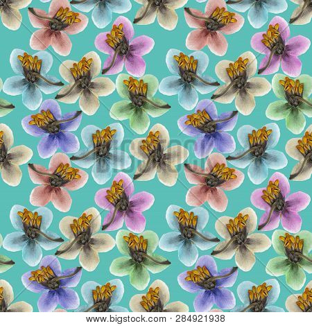 Pyrola. Texture Of Flowers. Seamless Pattern For Continuous Replicate. Floral Background, Photo Coll
