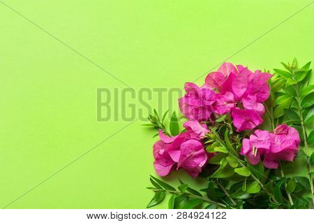 Small Elegant Bouquet Of Garden Fuchsia Pink Flowers Green Twigs On Chartreuse Background. Creative 