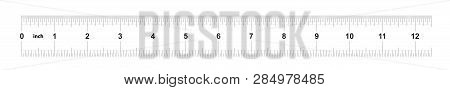 Ruler 12 inches imperial. Ruler 12 inches metric. Precise measuring tool. Calibration grid