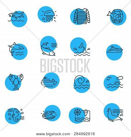 Vector Illustration Of 16 Sea Icons Line Style. Editable Set Of Stripped Vest, Whale Tail, Jelly Fis