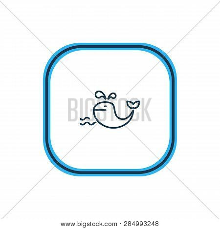 Vector Illustration Of Whale Icon Line. Beautiful Nautical Element Also Can Be Used As Cetacean Icon