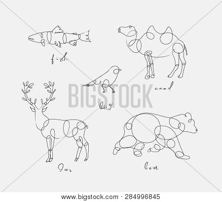 Set Of Animals Fish, Camel, Bird, Deerm Bear Drawing In Pen Line Style On Light Background