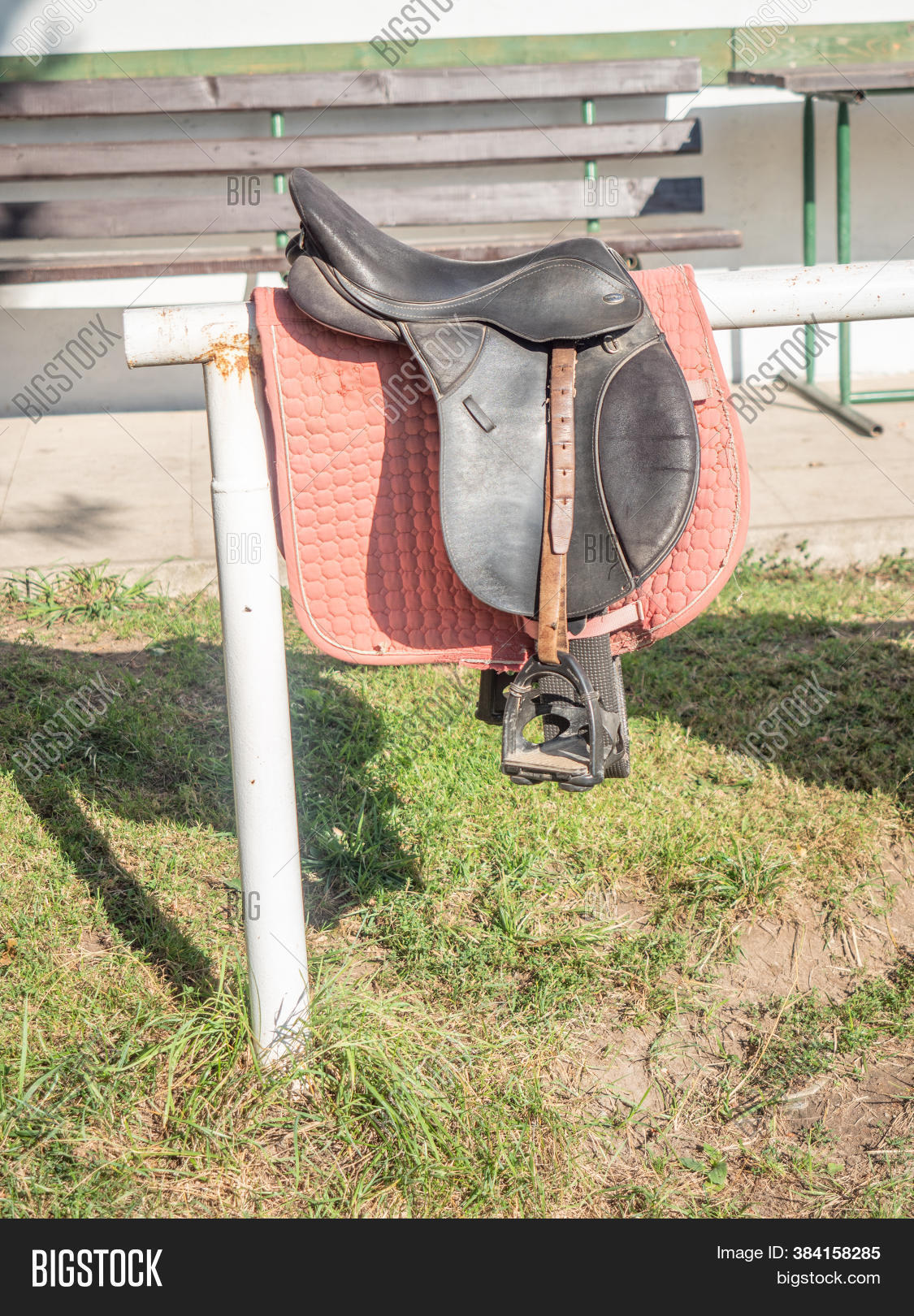 Kids Set English Horse Image & Photo (Free Trial) | Bigstock