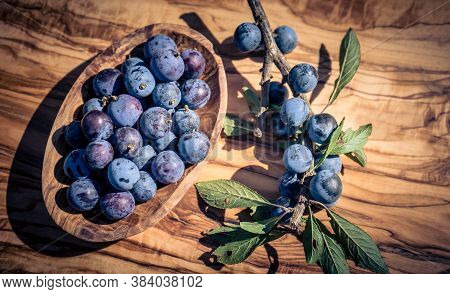 Blue Round Fruits Of The Blackthorn Bush