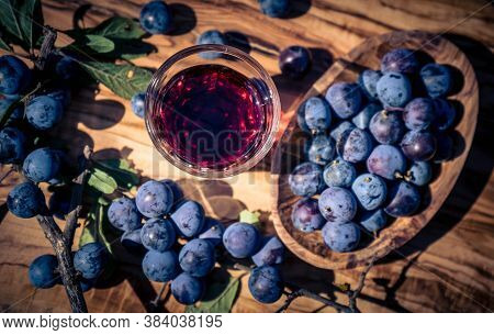 Blue Round Fruits Of The Blackthorn Bush