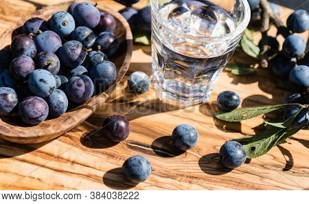 Blue Round Fruits Of The Blackthorn Bush