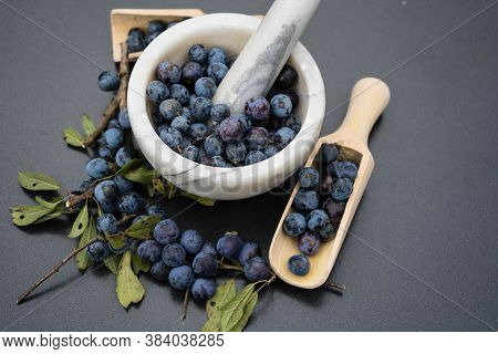 Blue Round Fruits Of The Blackthorn Bush