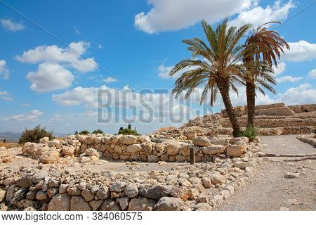 Palm trees at the Megiddo National park - a UNESCO word heritage site, northern Israel