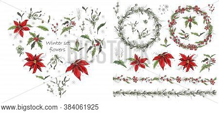 Set Of Winter Flowers, Branches And Leaves. Hand-drawn Botanical Doodling In A Realistic Style. Seam