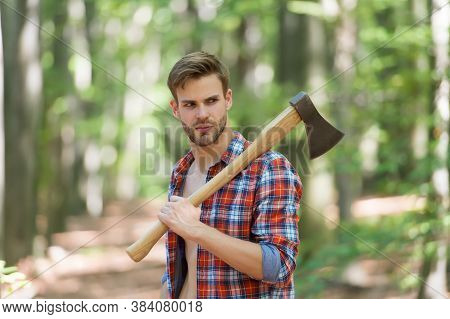 Ordinary Day. Lumber Worker In Wood. Spend Picnic Weekend In Forest. Man Ready For Splitting Wood An