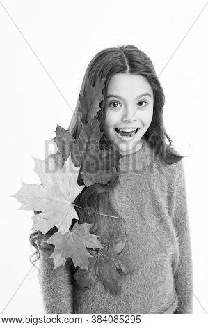Seasonal Hair Loss In Autumn Is Most Often Caused By The Repercussions Of Summer. Girl Cute Child Lo