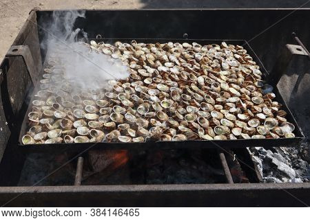 Caracoles A La Llauna, Typical Food Of Catalonia, Very Appreciated In Its Time