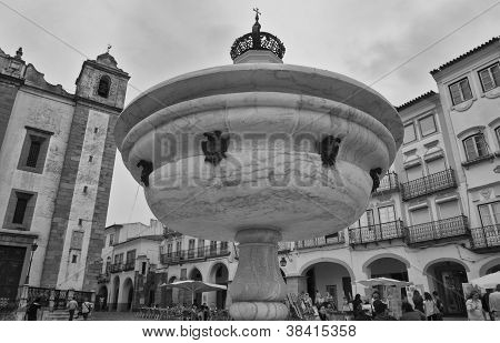 Fonte Henriquina